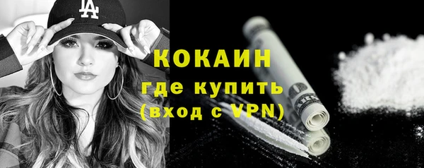 сатива Надым