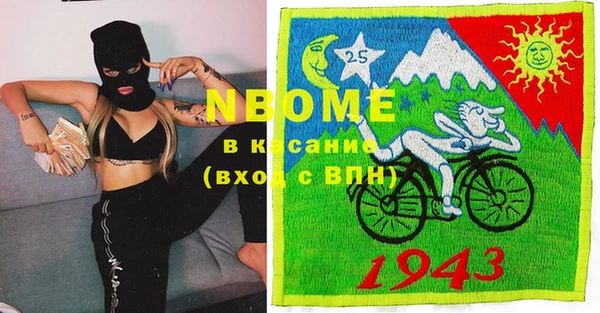 сатива Надым