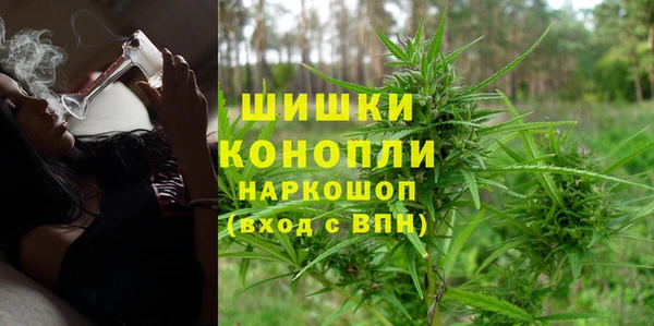 сатива Надым