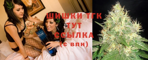 сатива Надым