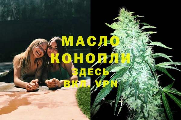 сатива Надым