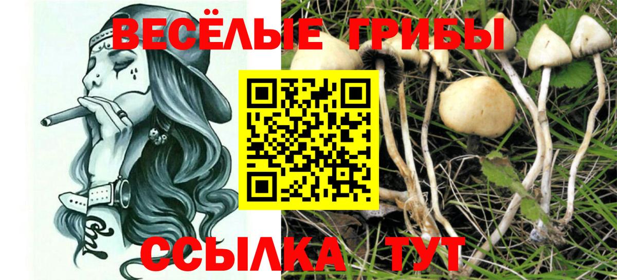 Хабаровск  Галлюциногенные грибы прущие грибы  Вход с VPN 