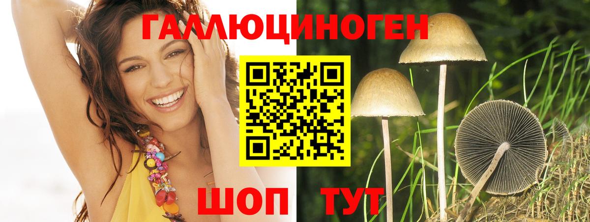 Псилоцибиновые грибы Cubensis Хабаровск